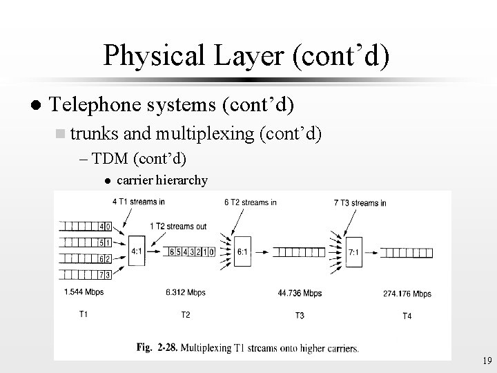 Physical Layer (cont’d) l Telephone systems (cont’d) n trunks and multiplexing (cont’d) – TDM