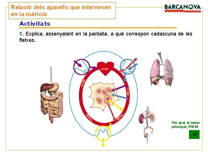 Relació dels aparells que intervenen en la nutrició Activitats 1. Explica, assenyalant en la Relació dels aparells que intervenen en la nutrició Activitats 1. Explica, assenyalant en la
