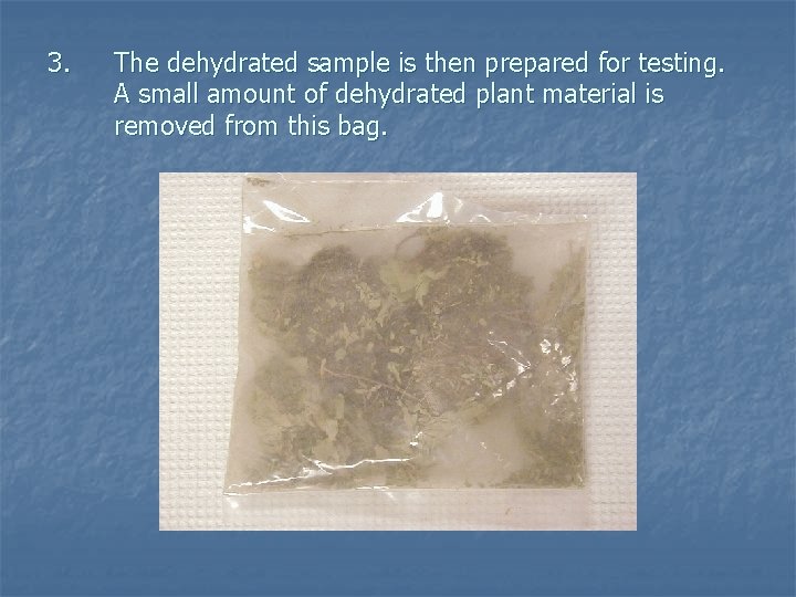 3. The dehydrated sample is then prepared for testing. A small amount of dehydrated