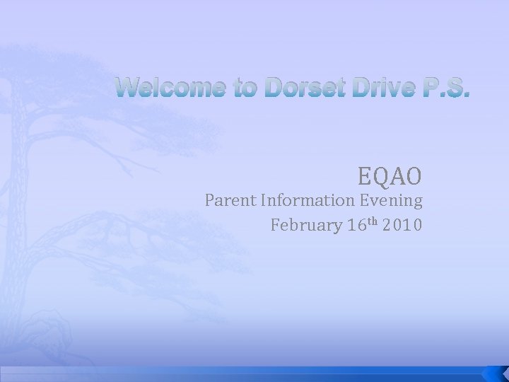 Welcome to Dorset Drive P. S. EQAO Parent Information Evening February 16 th 2010 Welcome to Dorset Drive P. S. EQAO Parent Information Evening February 16 th 2010