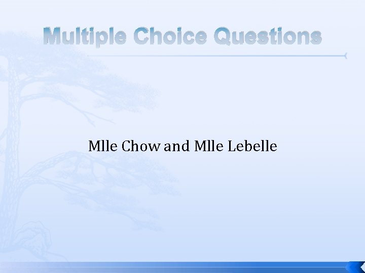 Multiple Choice Questions Mlle Chow and Mlle Lebelle Multiple Choice Questions Mlle Chow and Mlle Lebelle