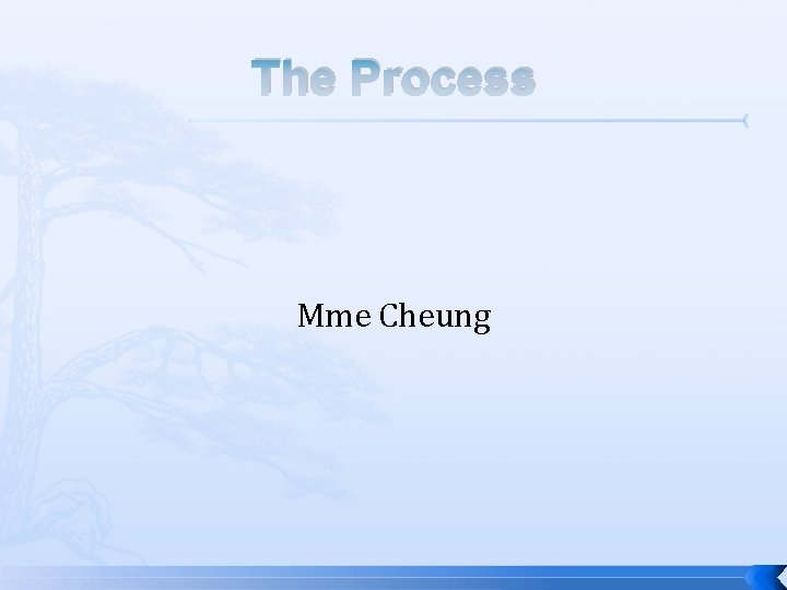 The Process Mme Cheung The Process Mme Cheung