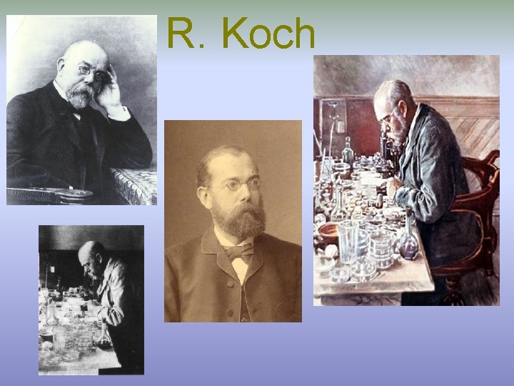 R. Koch 