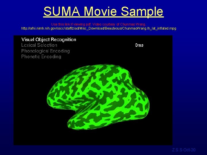 SUMA Movie Sample Use this link if viewing pdf. Video courtesy of Chunmao Wang.