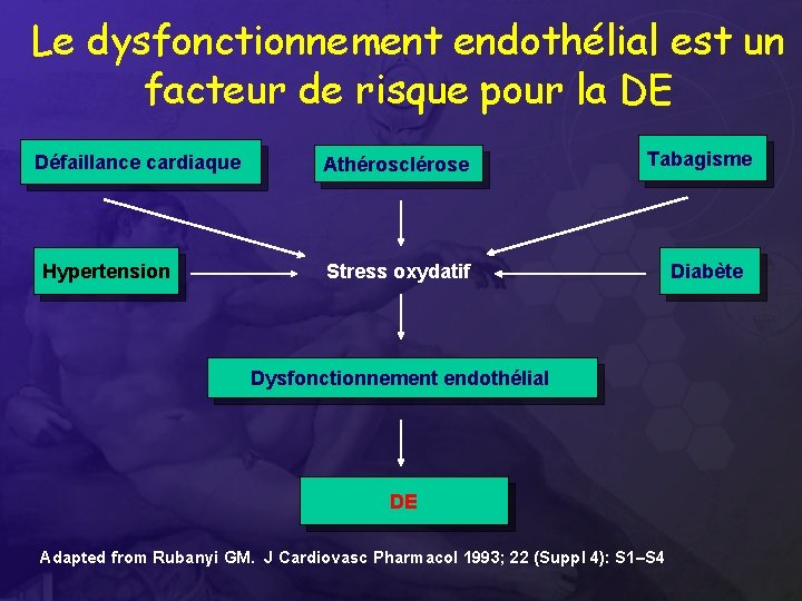Le dysfonctionnement endothélial est un facteur de risque pour la DE Défaillance cardiaque Hypertension