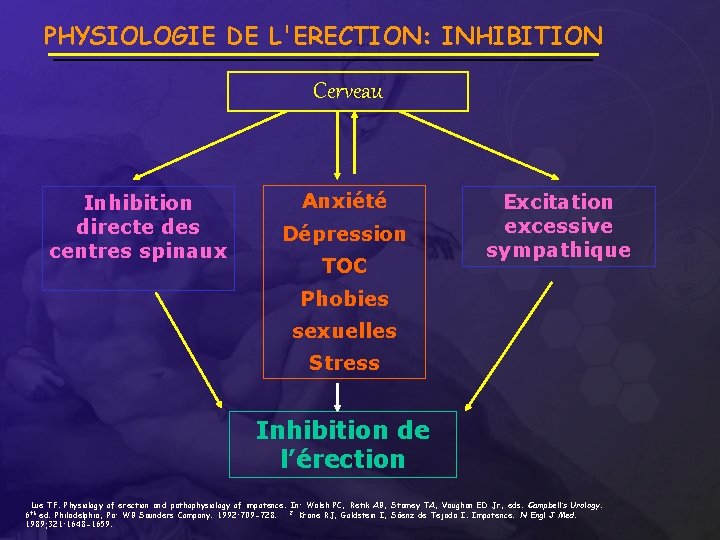 PHYSIOLOGIE DE L'ERECTION: INHIBITION Cerveau Inhibition directe des centres spinaux Anxiété Dépression TOC Excitation