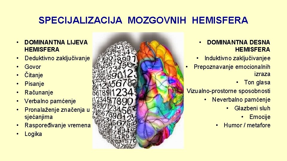 SPECIJALIZACIJA MOZGOVNIH HEMISFERA • DOMINANTNA LIJEVA HEMISFERA • Deduktivno zaključivanje • Govor • Čitanje