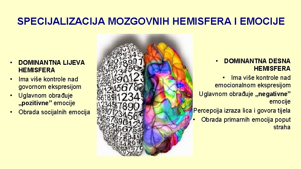 SPECIJALIZACIJA MOZGOVNIH HEMISFERA I EMOCIJE • DOMINANTNA LIJEVA HEMISFERA • Ima više kontrole nad