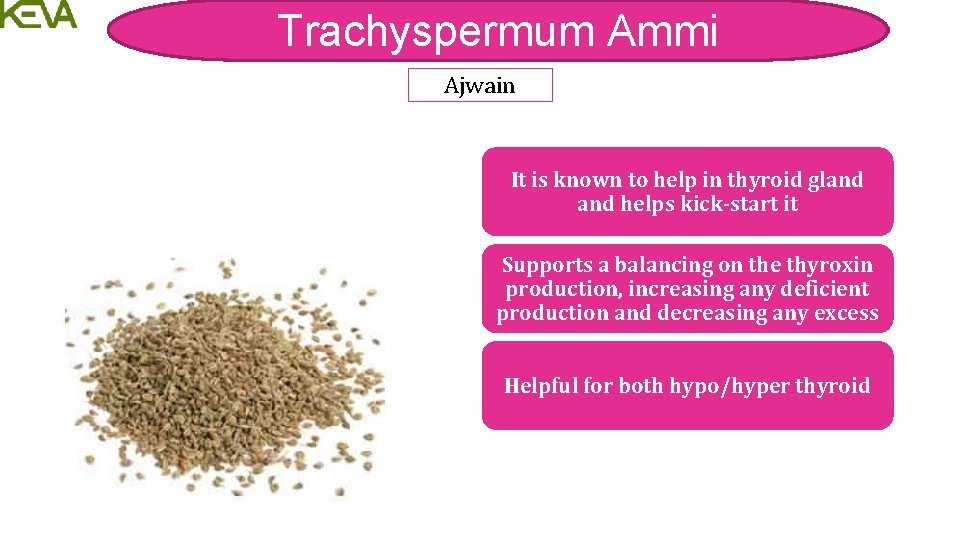 Trachyspermum Ammi Ajwain It is known to help in thyroid gland helps kick-start it