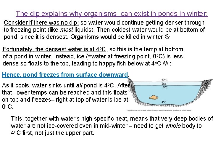The dip explains why organisms can exist in ponds in winter: Consider if there