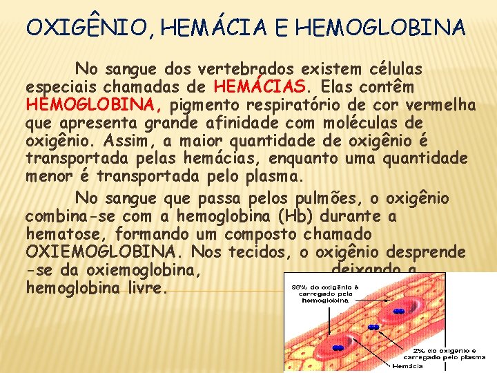 OXIGÊNIO, HEMÁCIA E HEMOGLOBINA No sangue dos vertebrados existem células especiais chamadas de HEMÁCIAS.