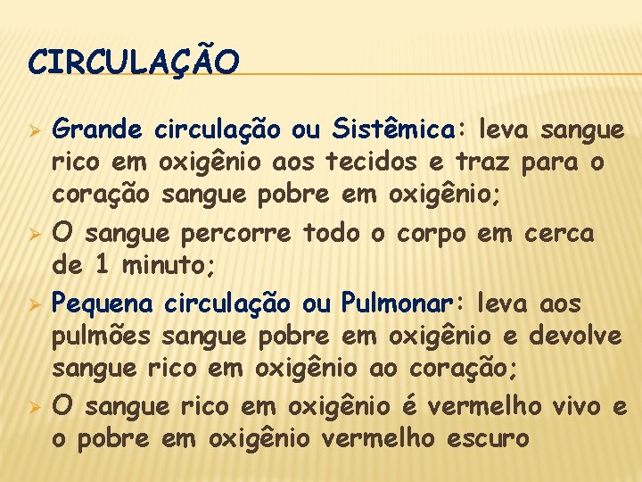 CIRCULAÇÃO Ø Ø Grande circulação ou Sistêmica: leva sangue rico em oxigênio aos tecidos