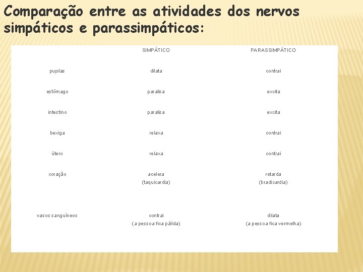 Comparação entre as atividades dos nervos simpáticos e parassimpáticos: SIMPÁTICO PARASSIMPÁTICO pupilas dilata contrai