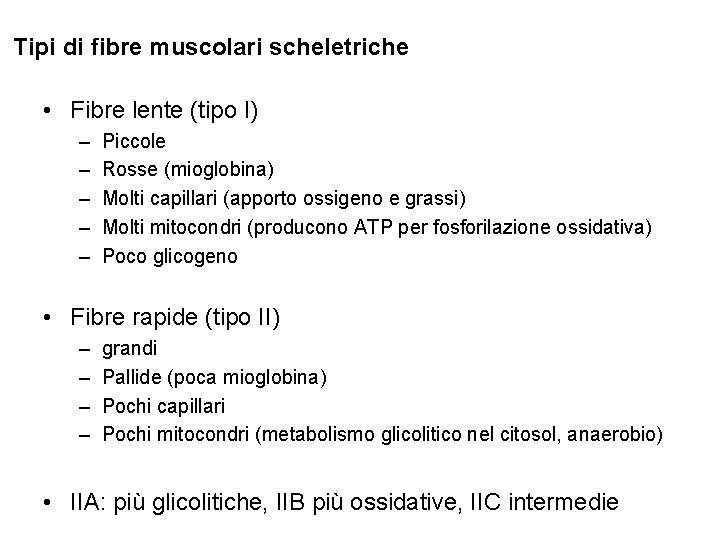 Tipi di fibre muscolari scheletriche • Fibre lente (tipo I) – – – Piccole