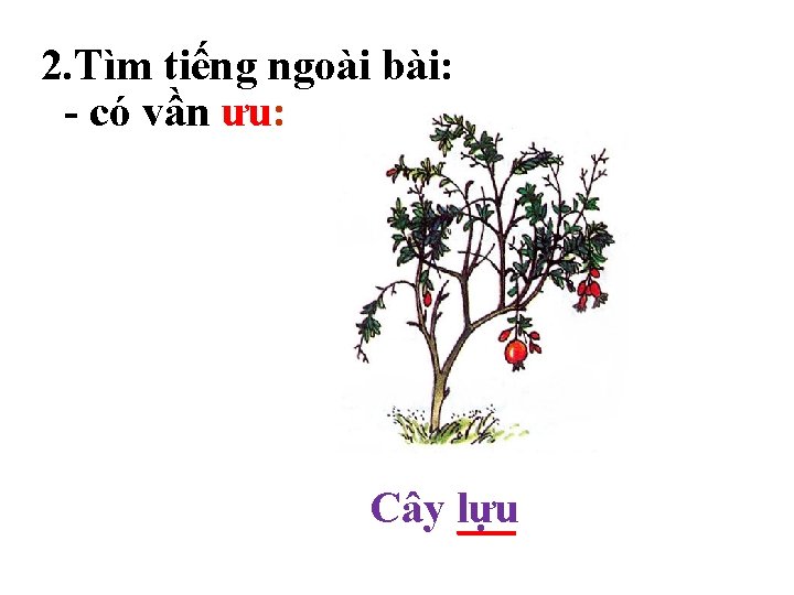 2. Tìm tiếng ngoài bài: - có vần ưu: Cây lựu 