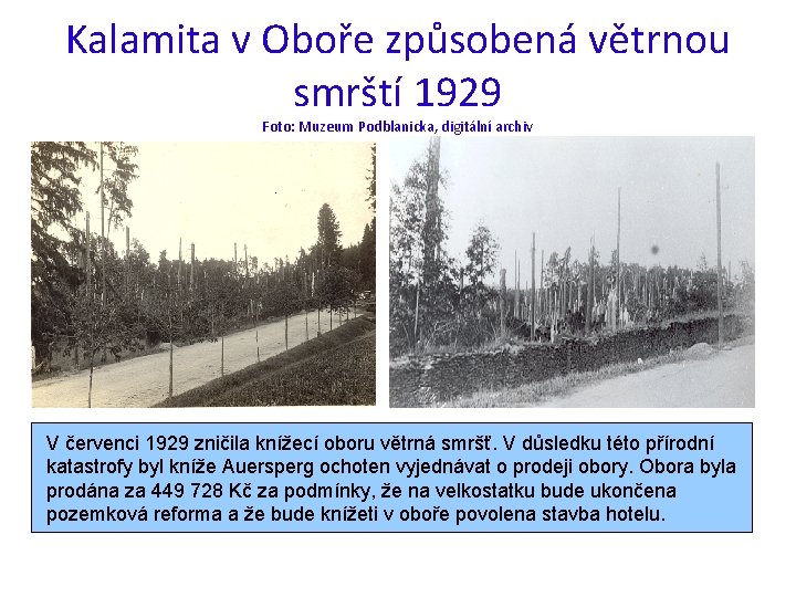 Kalamita v Oboře způsobená větrnou smrští 1929 Foto: Muzeum Podblanicka, digitální archiv V červenci