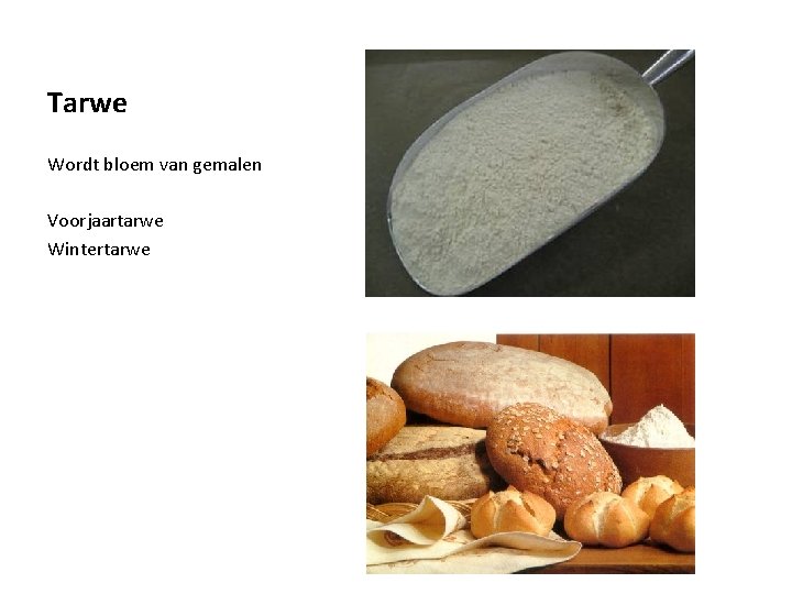 Tarwe Wordt bloem van gemalen Voorjaartarwe Wintertarwe 