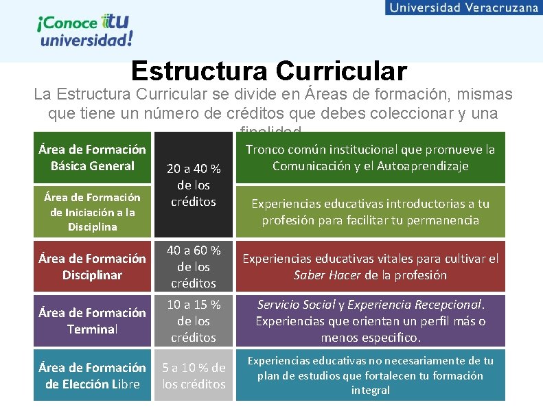 Estructura Curricular La Estructura Curricular se divide en Áreas de formación, mismas que tiene Estructura Curricular La Estructura Curricular se divide en Áreas de formación, mismas que tiene