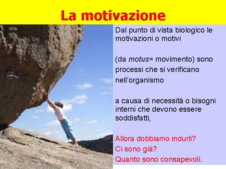 La motivazione Dal punto di vista biologico le motivazioni o motivi (da motus= movimento)