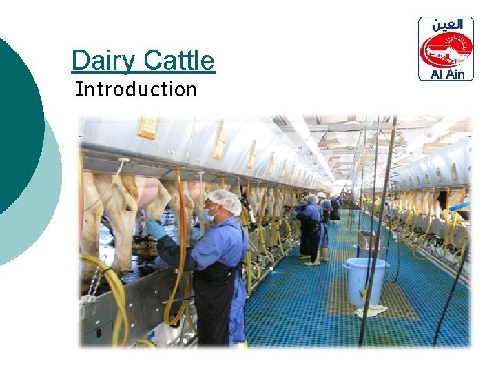 Dairy Cattle Introduction 