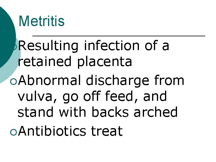 Metritis ¡Resulting infection of a retained placenta ¡Abnormal discharge from vulva, go off feed,