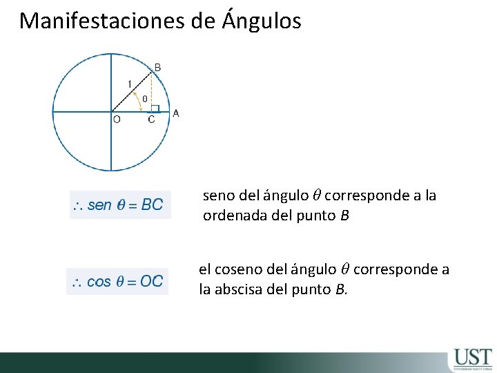 Manifestaciones de Ángulos seno del ángulo θ corresponde a la ordenada del punto B