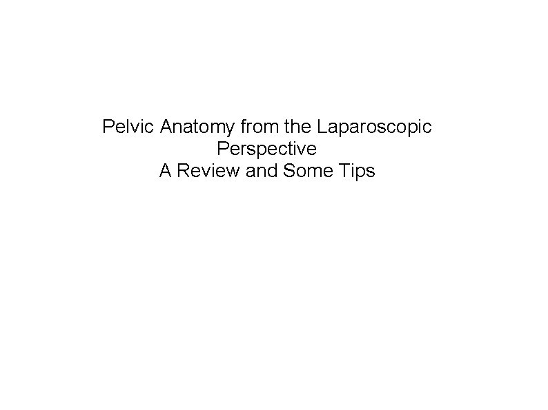 Pelvic Anatomy from the Laparoscopic Perspective A Review and Some Tips 