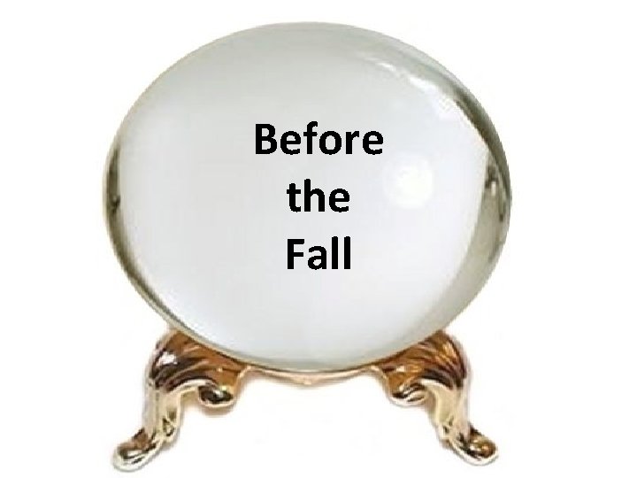 Before the Fall 