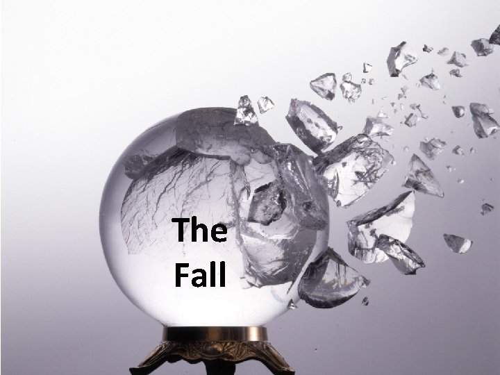 The Fall 