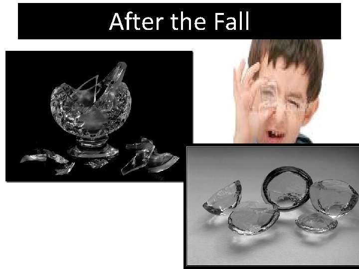 After the Fall 