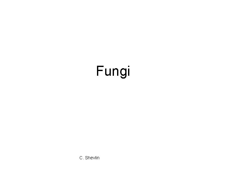 Fungi C. Shevlin 