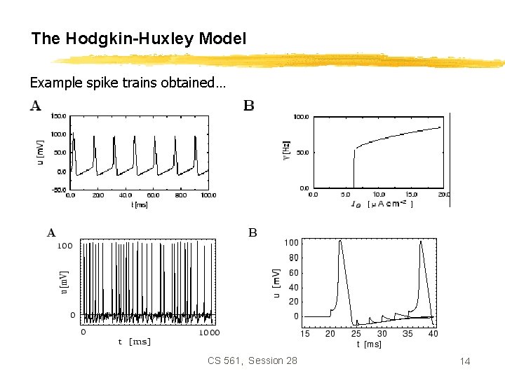 The Hodgkin-Huxley Model Example spike trains obtained… CS 561, Session 28 14 