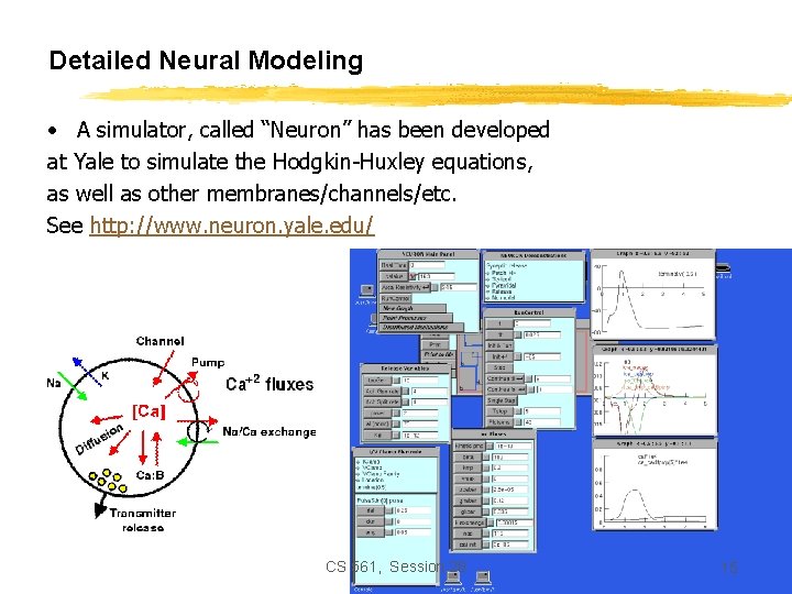 Detailed Neural Modeling • A simulator, called “Neuron” has been developed at Yale to