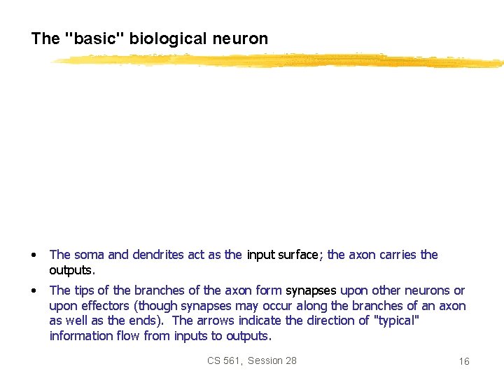 The "basic" biological neuron • The soma and dendrites act as the input surface;