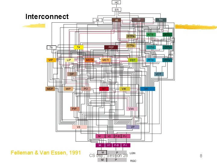 Interconnect Felleman & Van Essen, 1991 CS 561, Session 28 8 