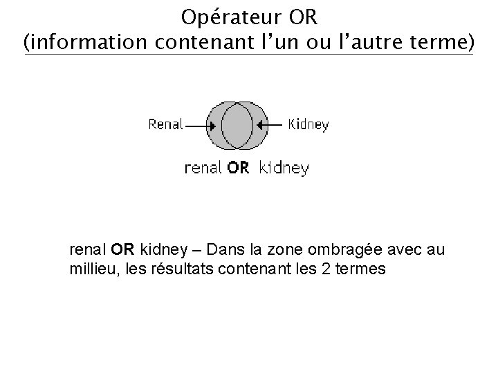 Opérateur OR (information contenant l’un ou l’autre terme) renal OR kidney – Dans la