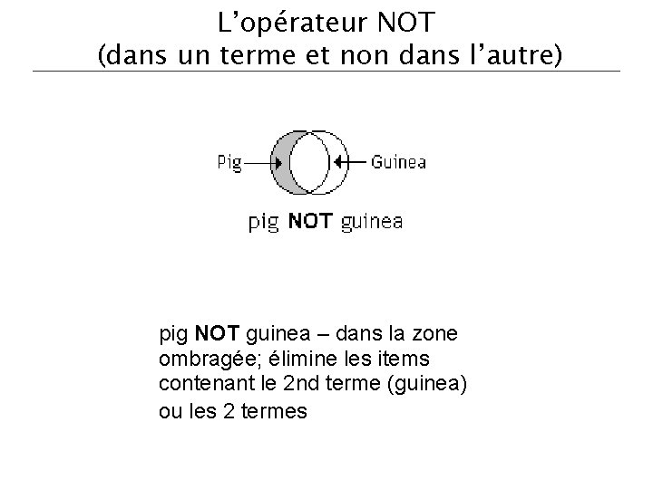 L’opérateur NOT (dans un terme et non dans l’autre) pig NOT guinea – dans