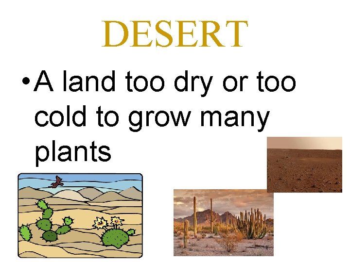 DESERT • A land too dry or too cold to grow many plants 