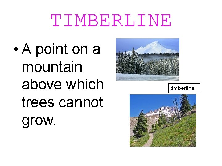 TIMBERLINE • A point on a mountain above which trees cannot grow. timberline 