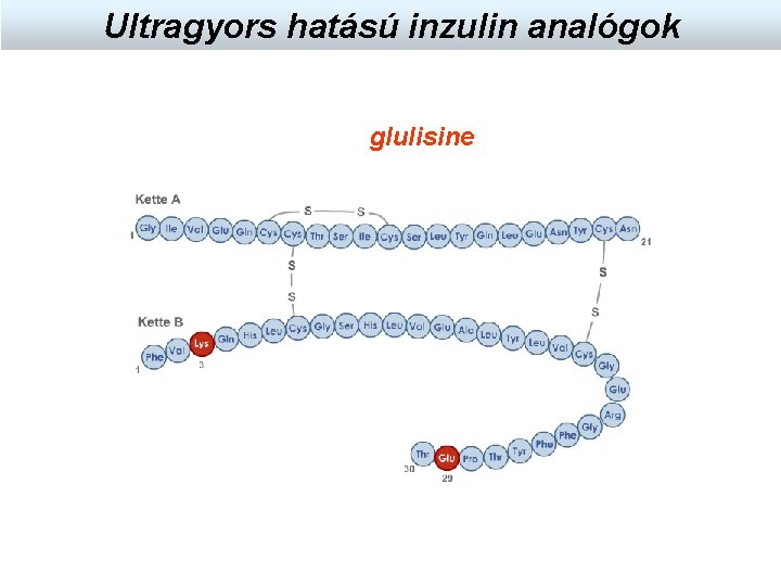 a cukorbetegség analógja az inzulin analógja)