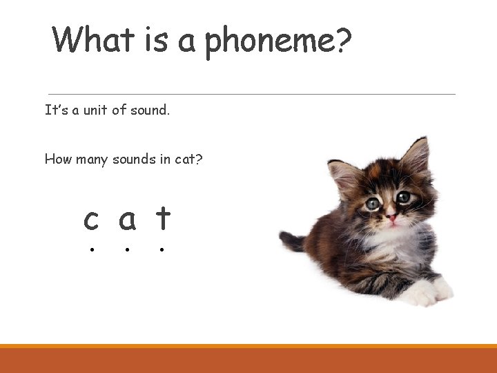 What is a phoneme? It’s a unit of sound. How many sounds in cat?