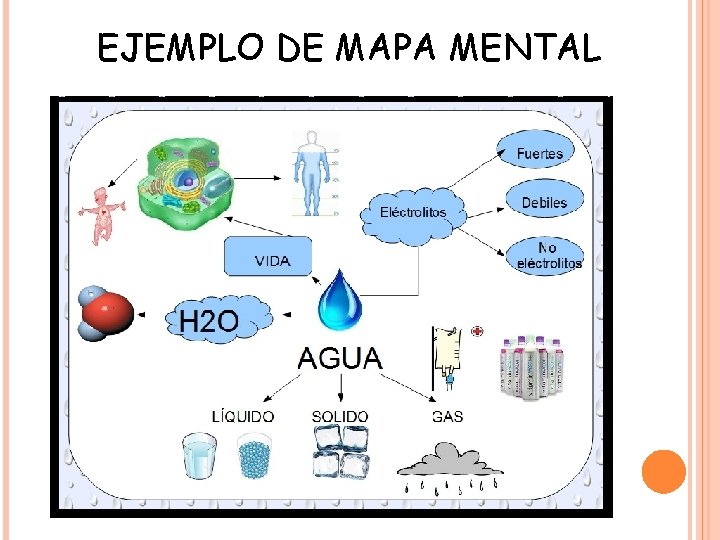 EJEMPLO DE MAPA MENTAL 