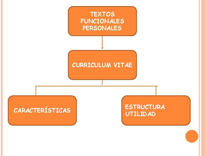 TEXTOS FUNCIONALES PERSONALES CURRICULUM VITAE CARACTERÍSTICAS ESTRUCTURA UTILIDAD 