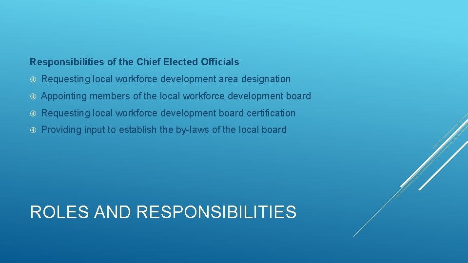 Responsibilities of the Chief Elected Officials Requesting local workforce development area designation Appointing members