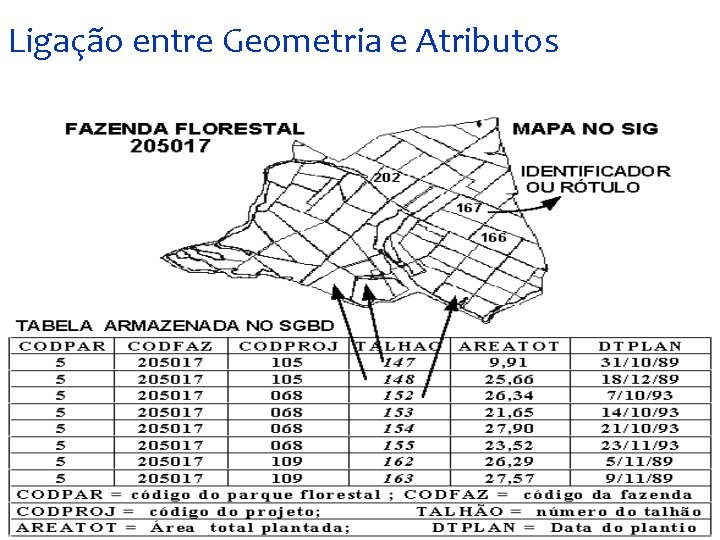 Ligação entre Geometria e Atributos Ligação entre Geometria e Atributos
