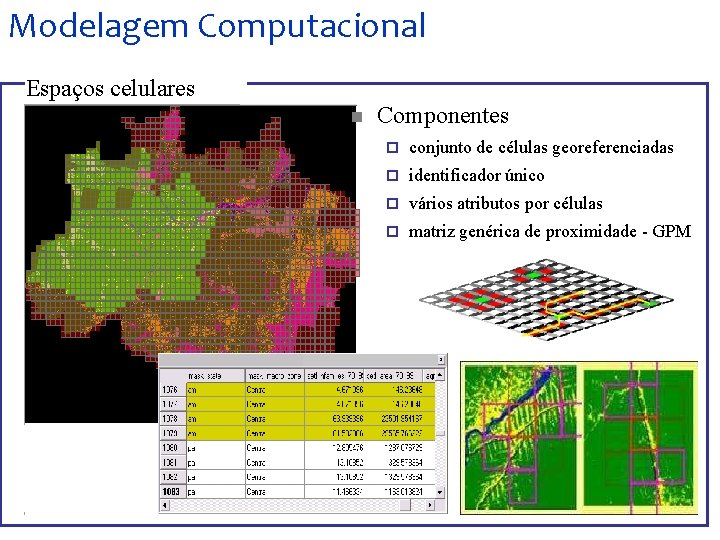 Modelagem Computacional Espaços celulares n Componentes ¨ conjunto de células georeferenciadas ¨ identificador único
