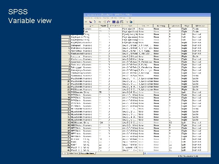 SPSS Variable view 