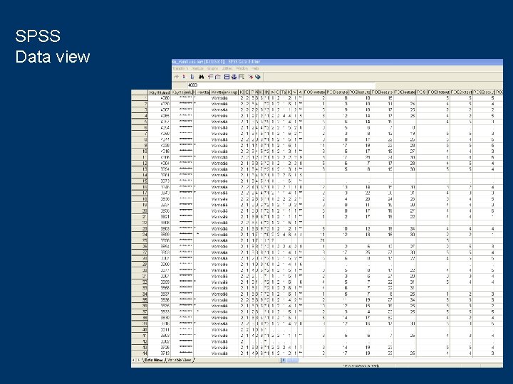 SPSS Data view 