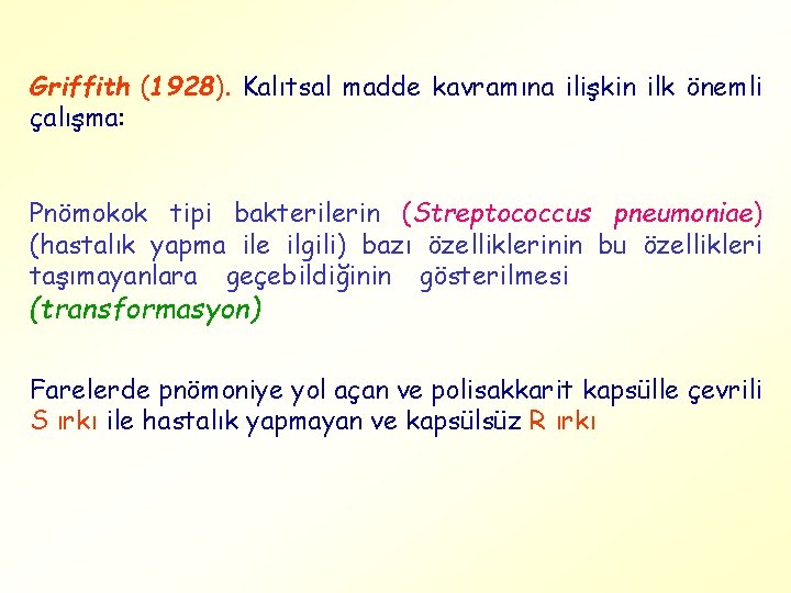 Griffith (1928). Kalıtsal madde kavramına ilişkin ilk önemli çalışma: Pnömokok tipi bakterilerin (Streptococcus pneumoniae)