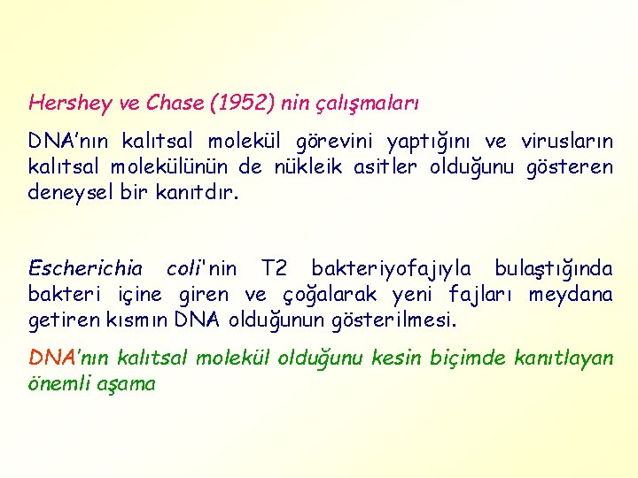 Hershey ve Chase (1952) nin çalışmaları DNA’nın kalıtsal molekül görevini yaptığını ve virusların kalıtsal